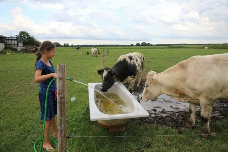 Bijzondere Overnachting Slapen bij de boer op de Brabantse Hei in Hooge Mierde15