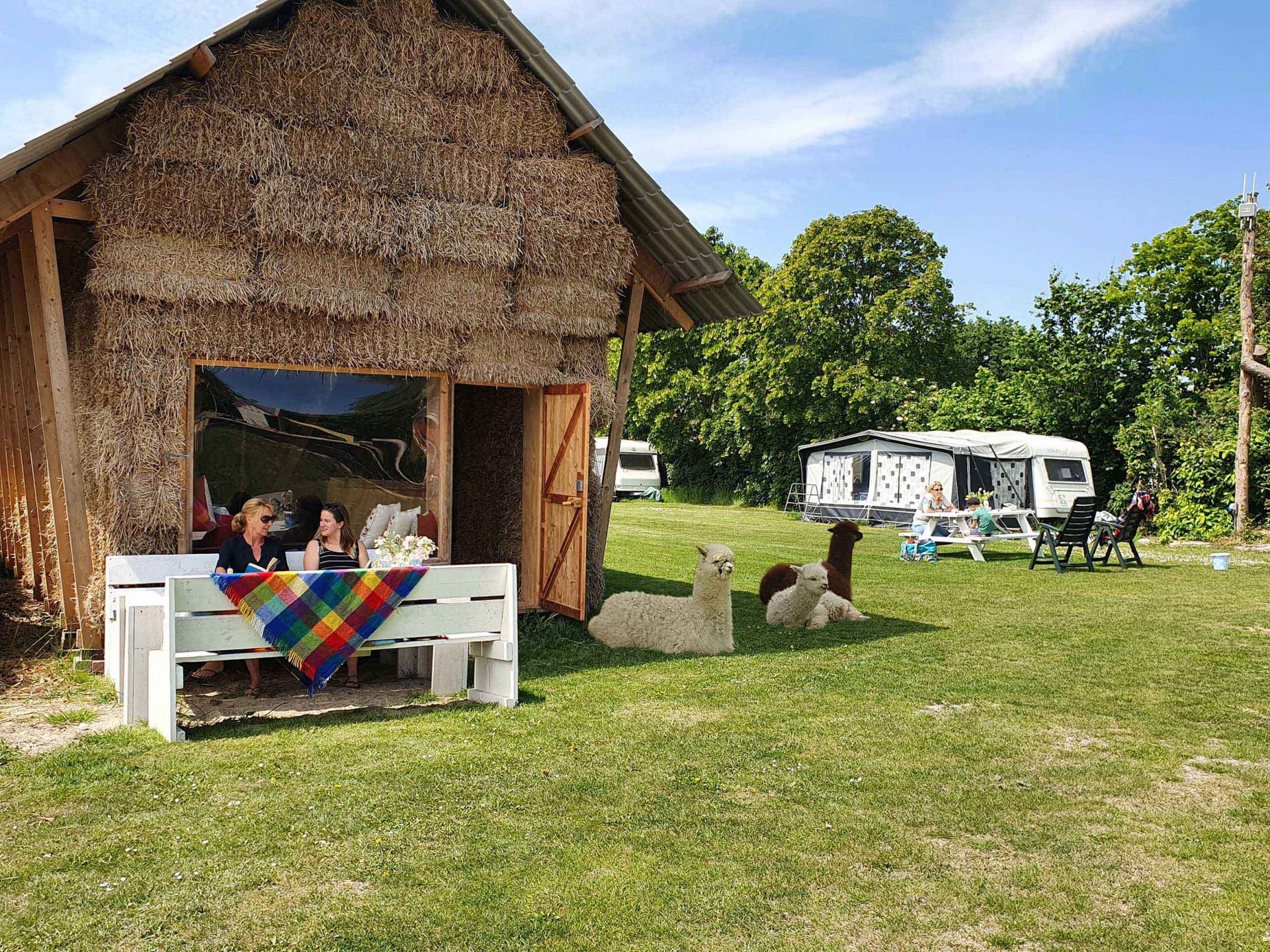 Glamping aan de Waterspiegel slapen met alpacas in een huis van stroo Zeeland 1